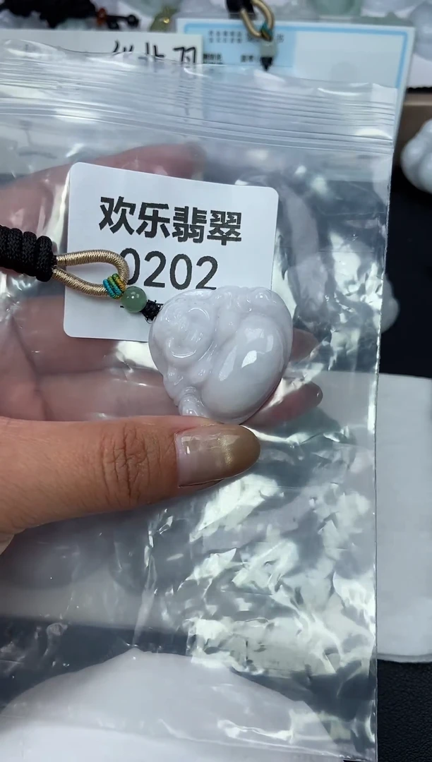 颈饰未镶嵌翡翠缅甸天然翡翠0202