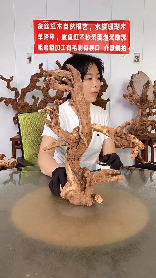 香榧木遥****金丝红木 羊蹄甲