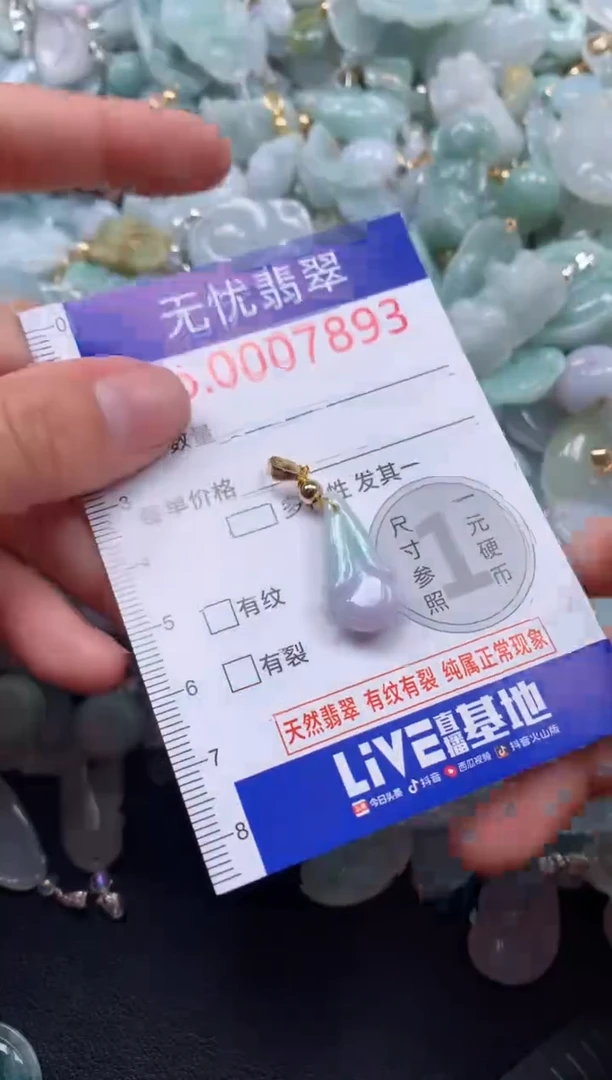 颈饰未镶嵌翡翠7893