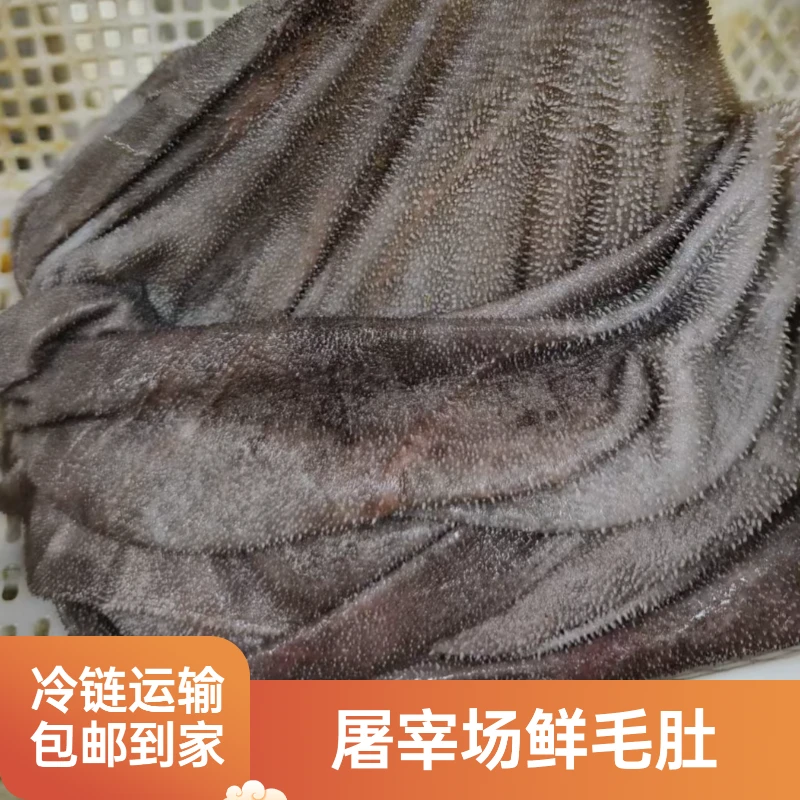 屠宰场鲜毛肚火锅食材纯鲜货包邮到家AM 固形物含量90%