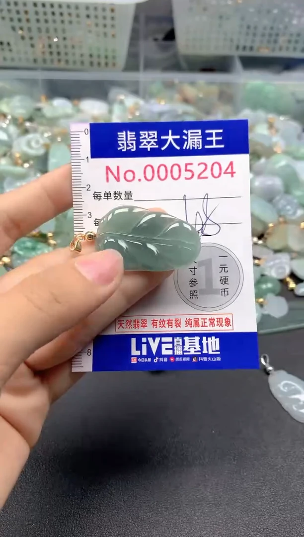 颈饰未镶嵌翡翠5204
