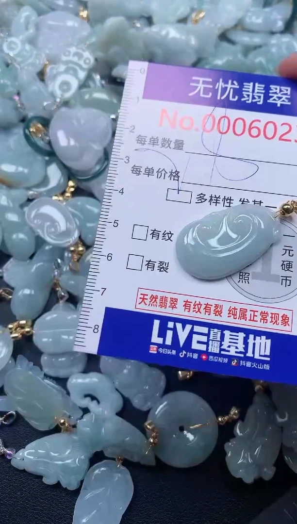 颈饰未镶嵌翡翠6022