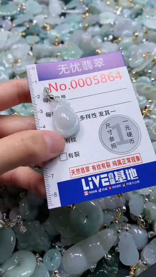 翡翠未镶嵌吊坠(不含链)5864