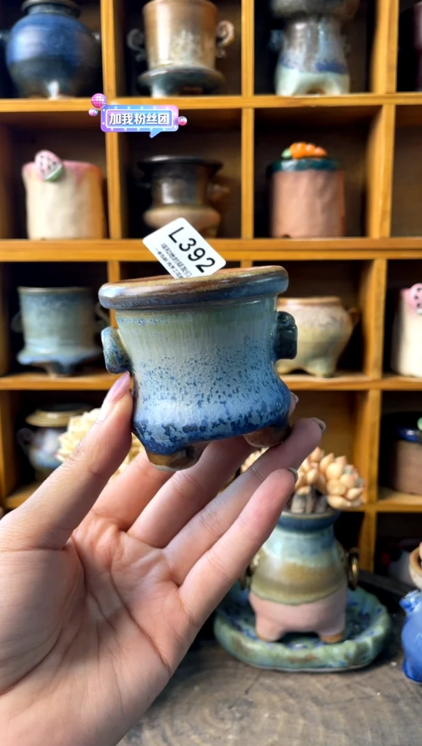 392内口5【多肉花盆多肉盆】