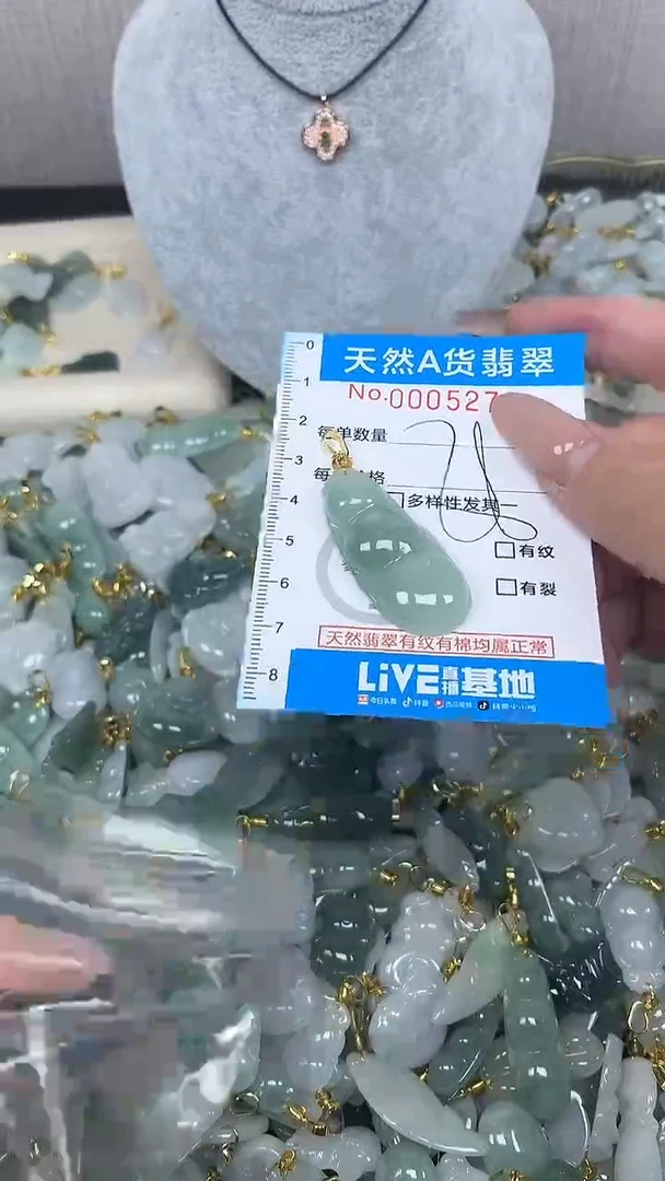 翡翠未镶嵌颈饰净货挂件-5279