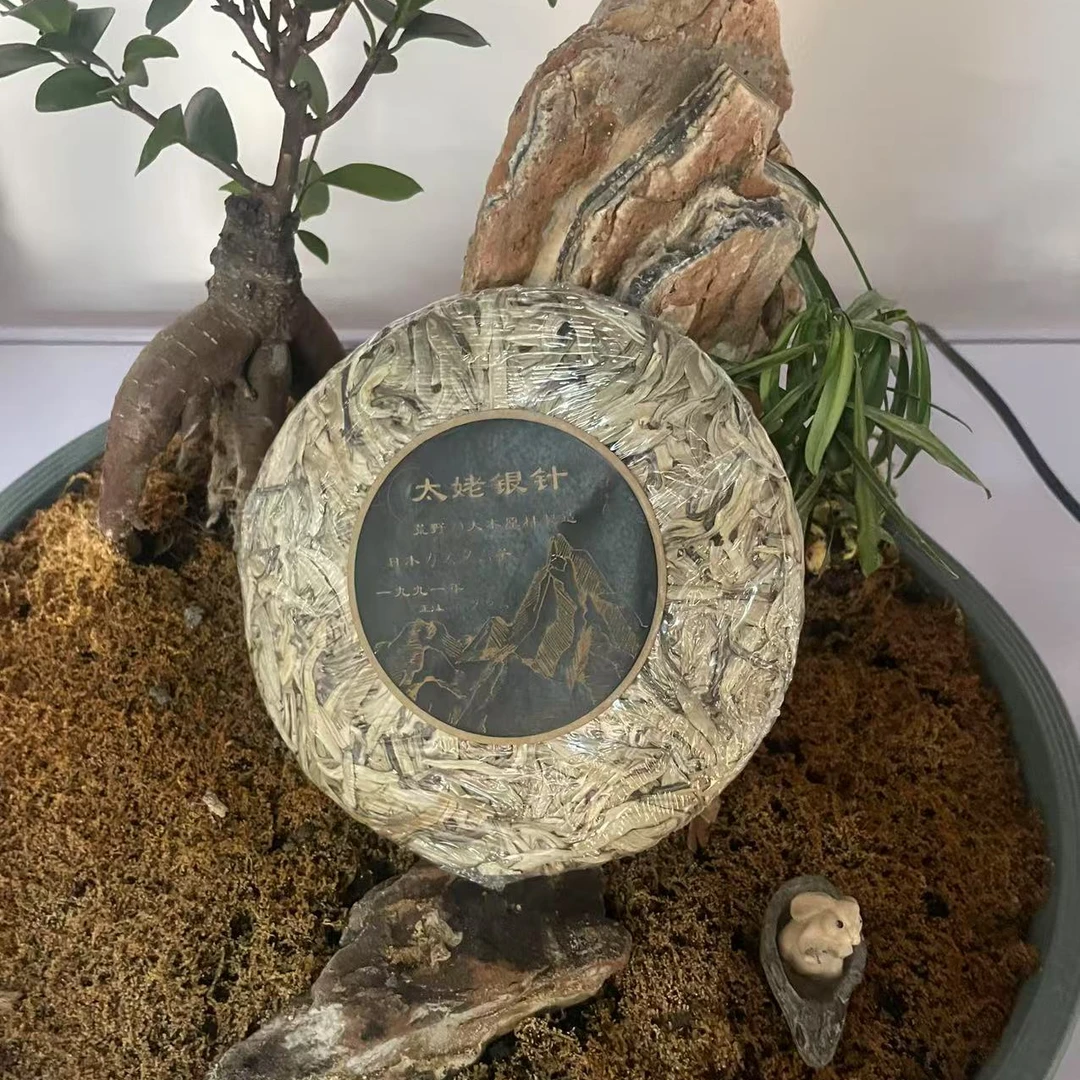 荒野太姥白毫银针