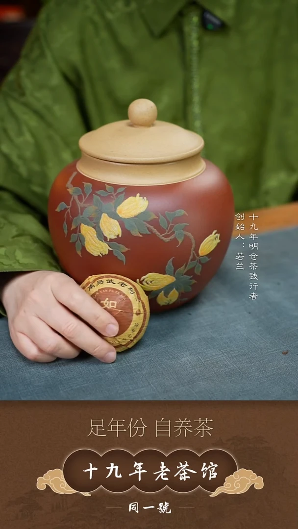 紫砂茶叶罐范*石紫砂茶叶罐原矿紫砂存茶缸+10个如月