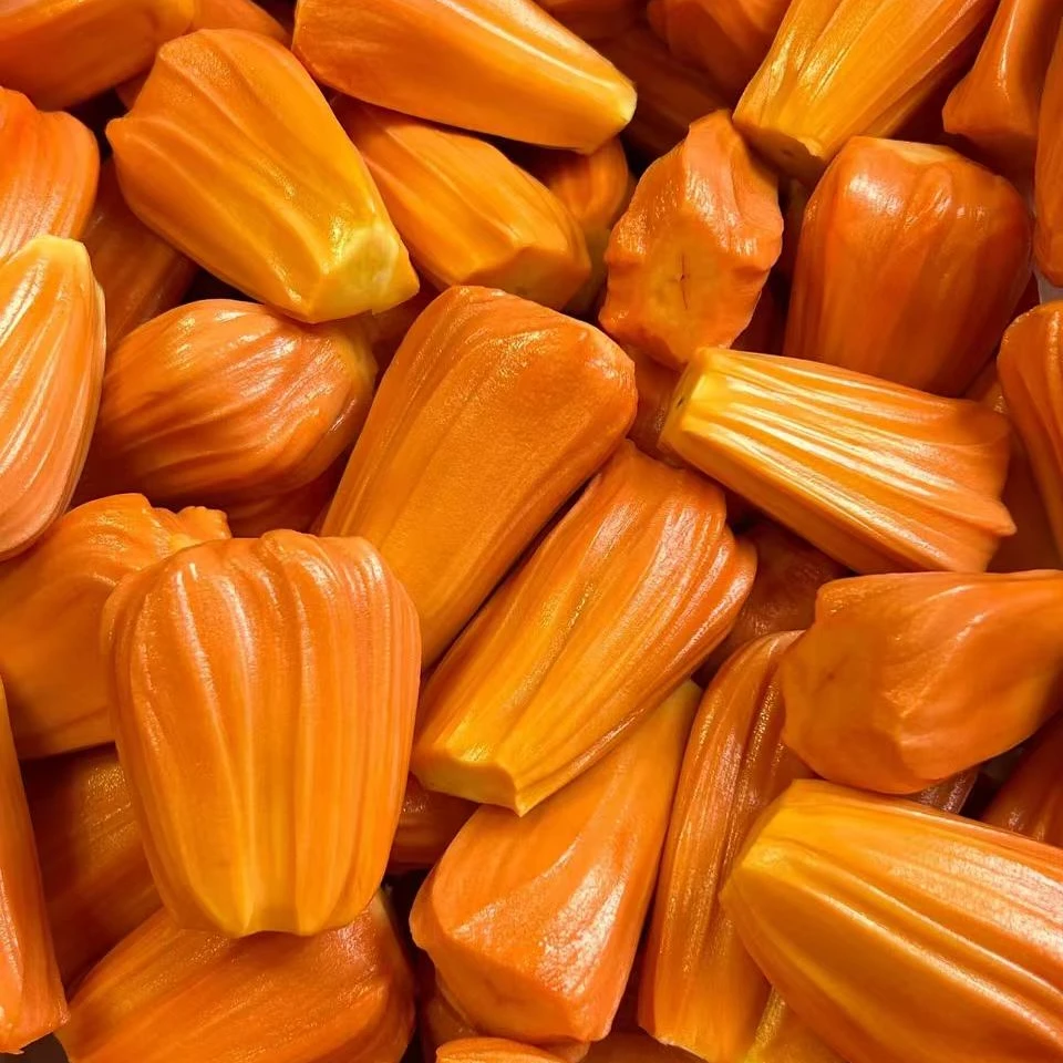 果切【配送到家】印尼红肉波罗蜜果肉500g