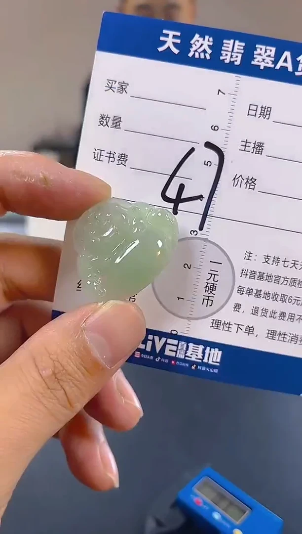 颈饰未镶嵌翡翠纯天然缅甸翡翠A货