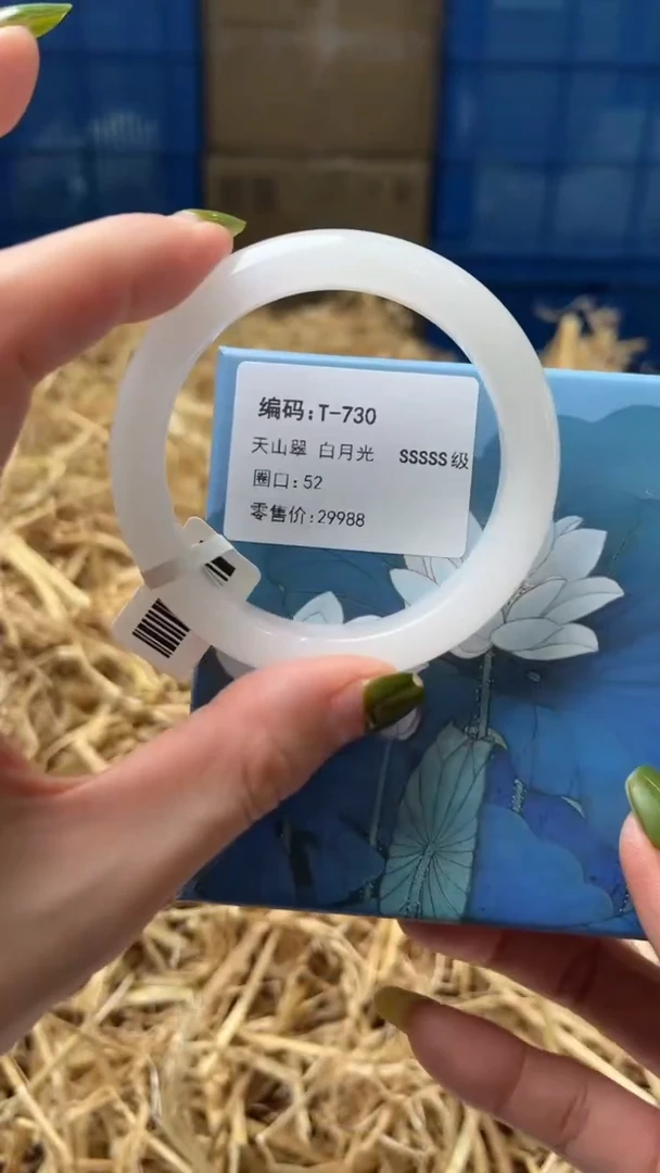 未镶嵌手镯石英质玉T730