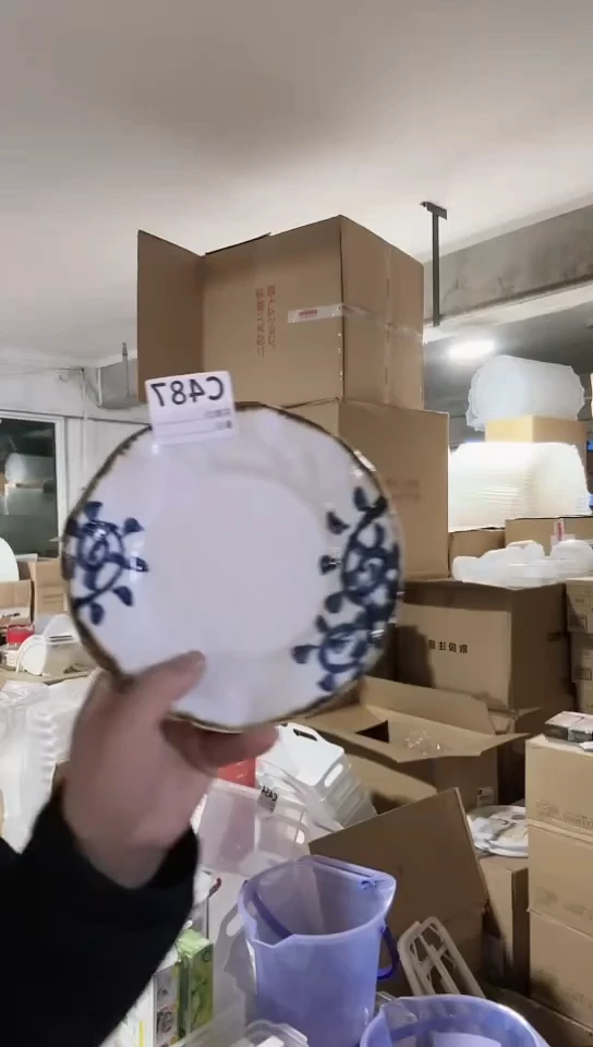 【闪购商品】瓷片日本进口瓷器唐草20cm盘C487