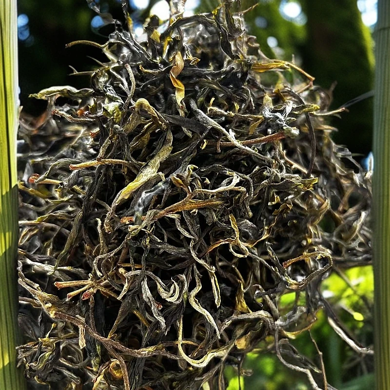 2025年 【李明军代表】帕拍古树单珠  普洱生茶 汤香饱满 茶气 足