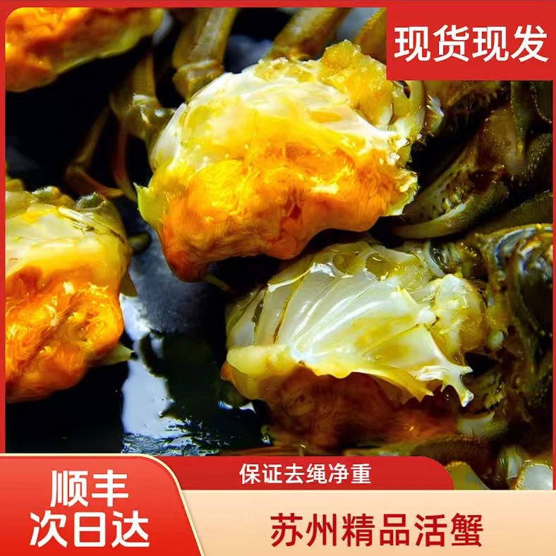 世上湖山【活蟹】江苏河蟹1.7-2两每只增量1两10只装全公（顺丰冷链