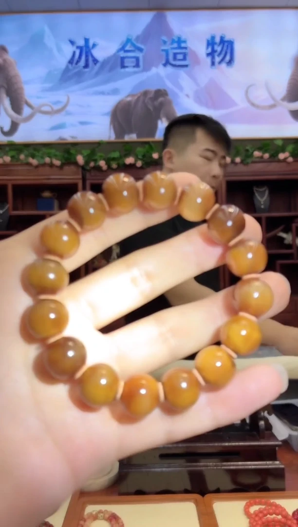 猛犸猛犸++++++69