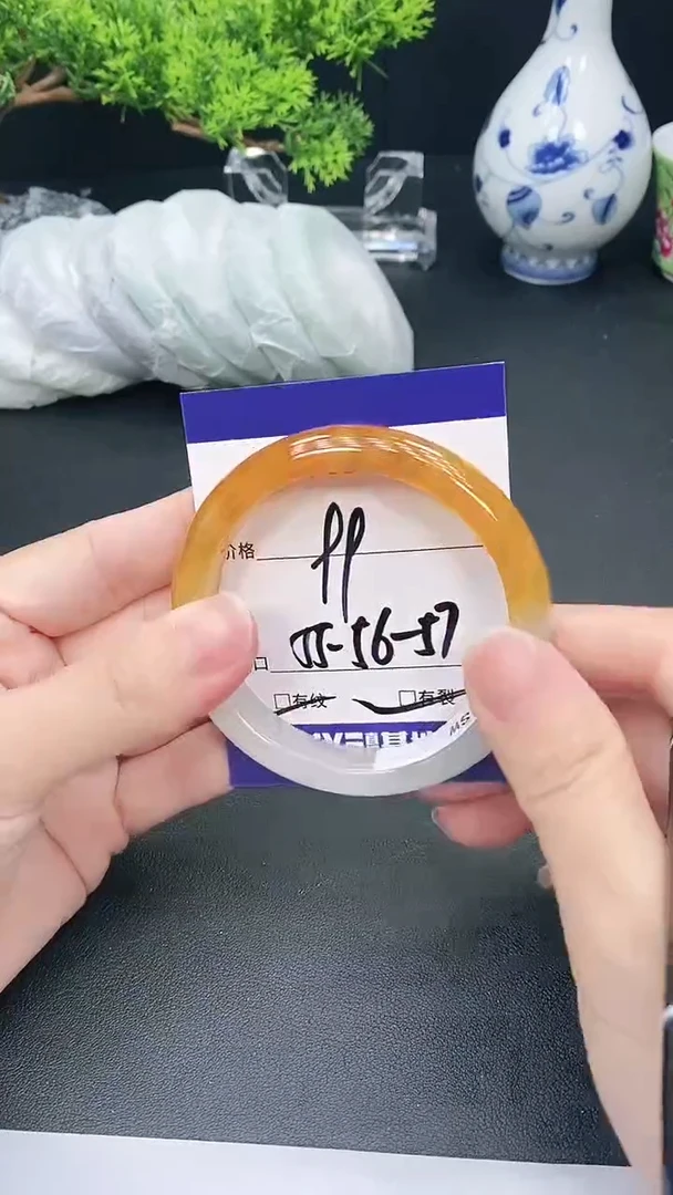 未镶嵌手镯翡翠33