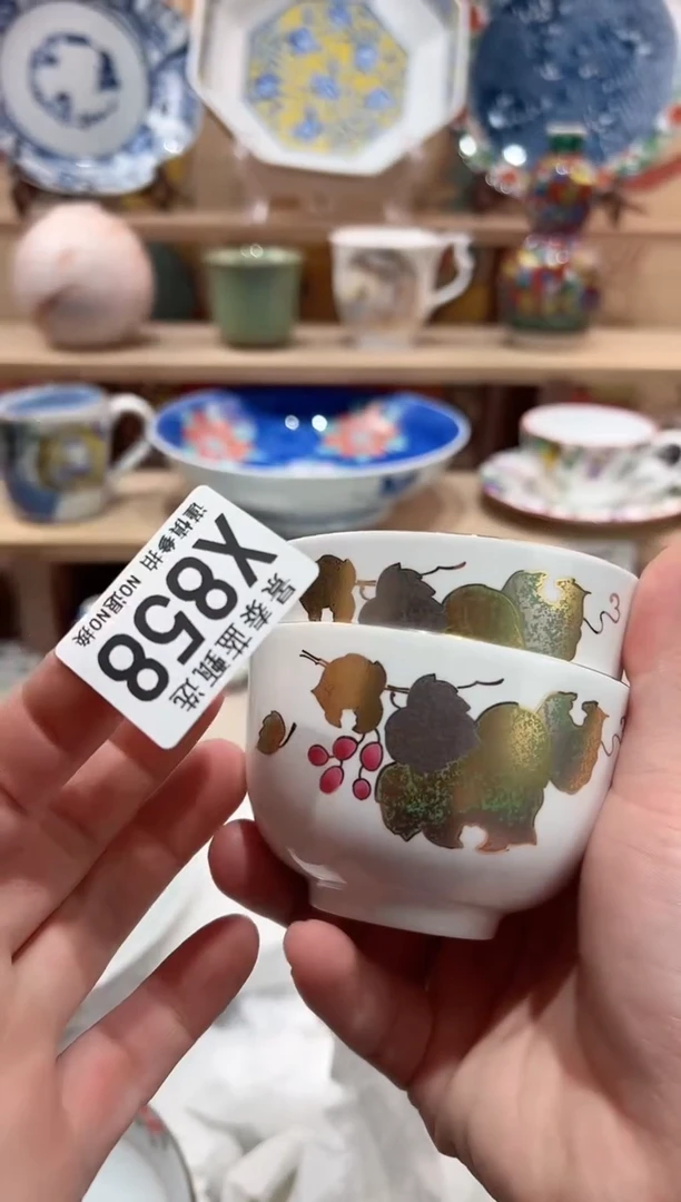 【闪购商品】瓷片当天凑满25米包邮X858