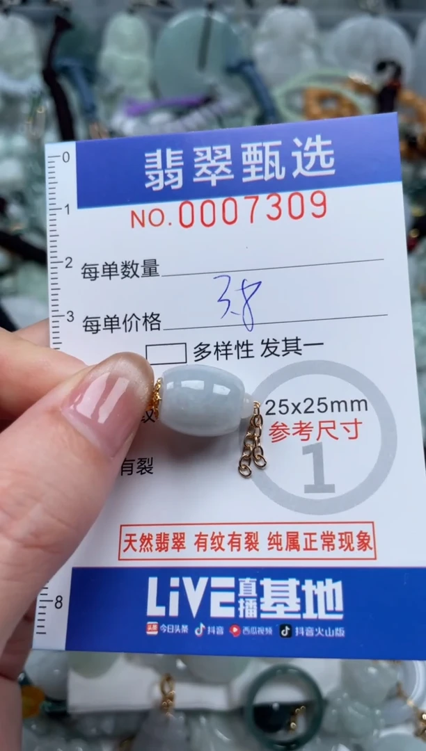 翡翠未镶嵌颈饰00..7309