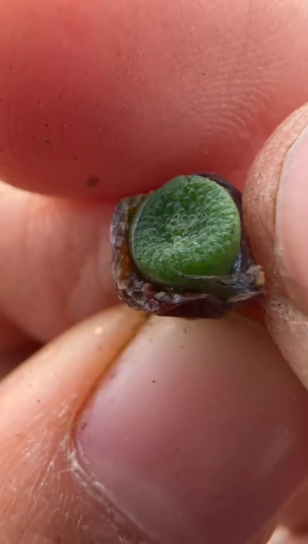 【闪购商品】9-320