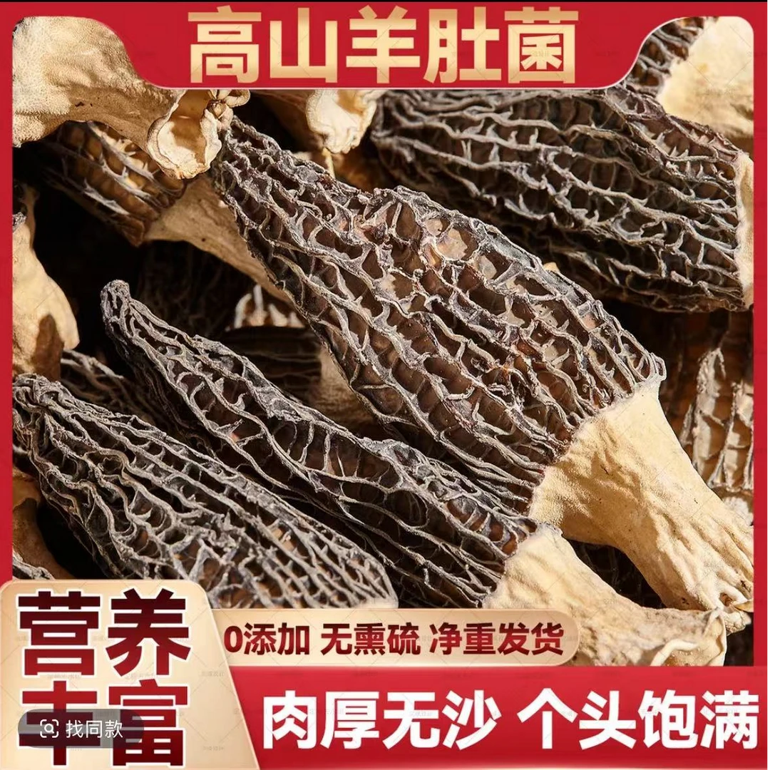 云南高山羊肚菌特产干货头茬羊肚菌营养美味滋补食材