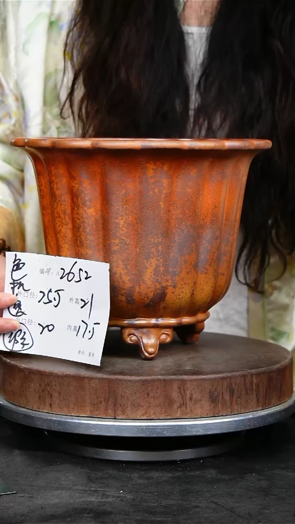 紫砂花盆花卉园艺瑕2652