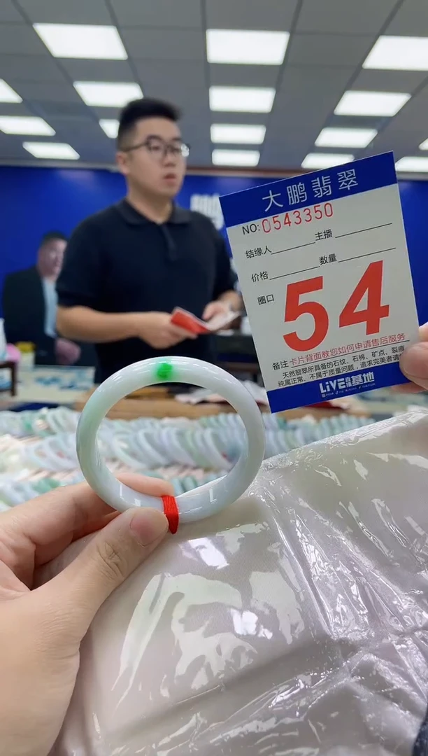 未镶嵌手镯翡翠AAAAAAAAA