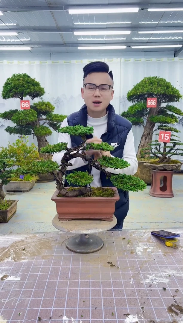 一物一拍，所见即所得