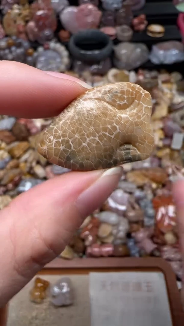 颈饰未镶嵌硅化珊瑚（珊瑚玉）670