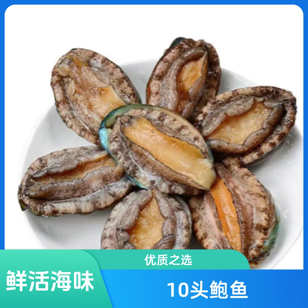 10头活鲍鱼 1只