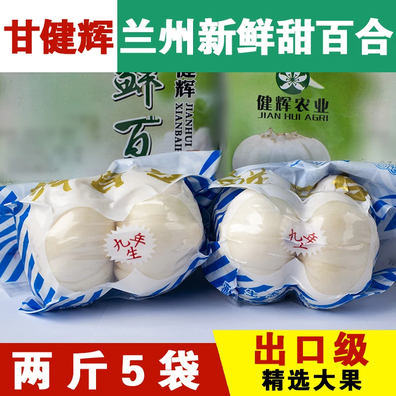 甘健辉兰州百合新鲜百合食用百合两头皇大果当季新挖甘肃特产500g