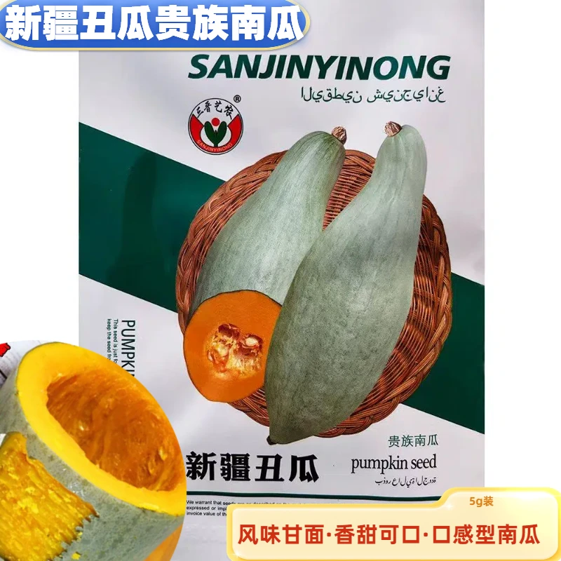 新疆丑瓜贵族南瓜杂交种果肉橙红色风味甘面香甜可口汁少似板栗