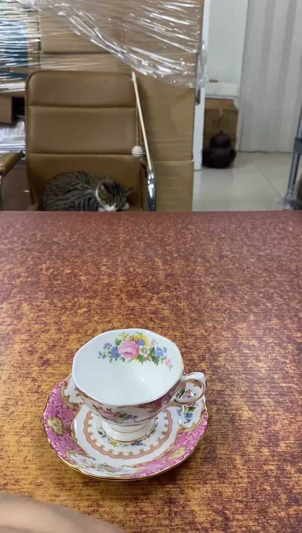 瓷片406小林轩欢迎您