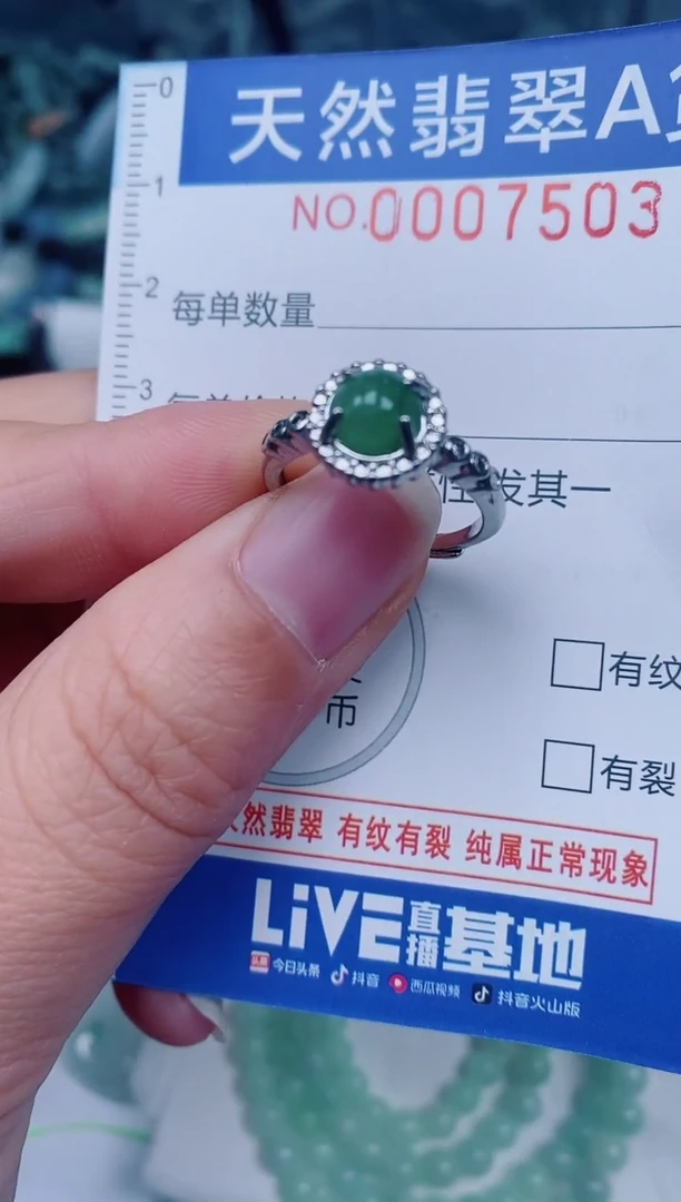 颈饰未镶嵌翡翠00007503