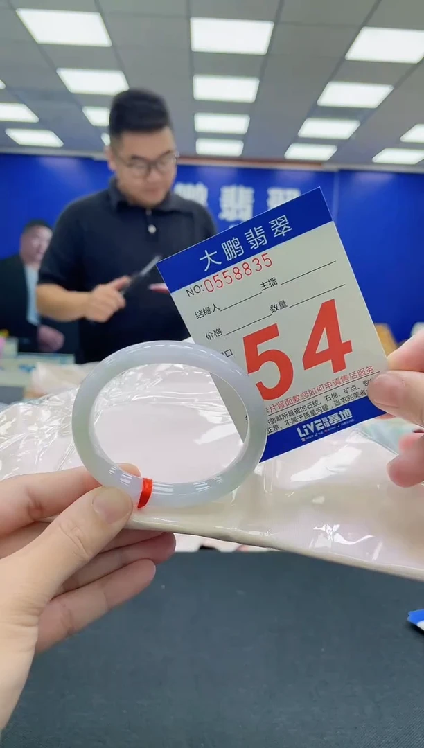 未镶嵌手镯翡翠AAAAAAAAA
