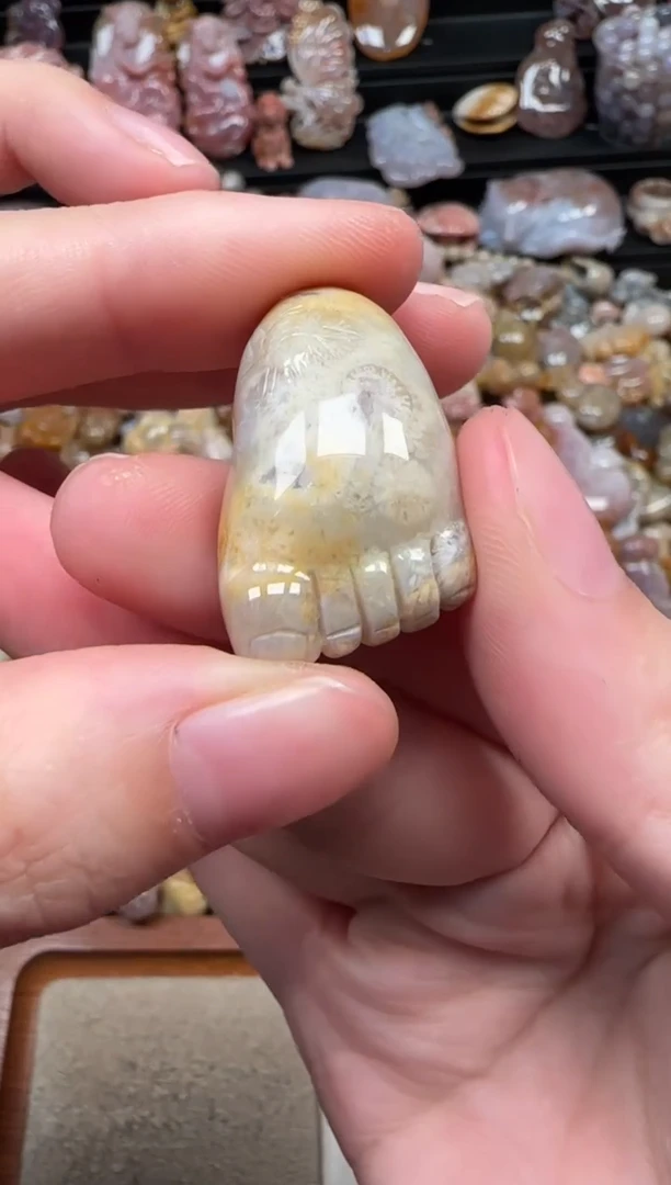 颈饰未镶嵌硅化珊瑚（珊瑚玉）318