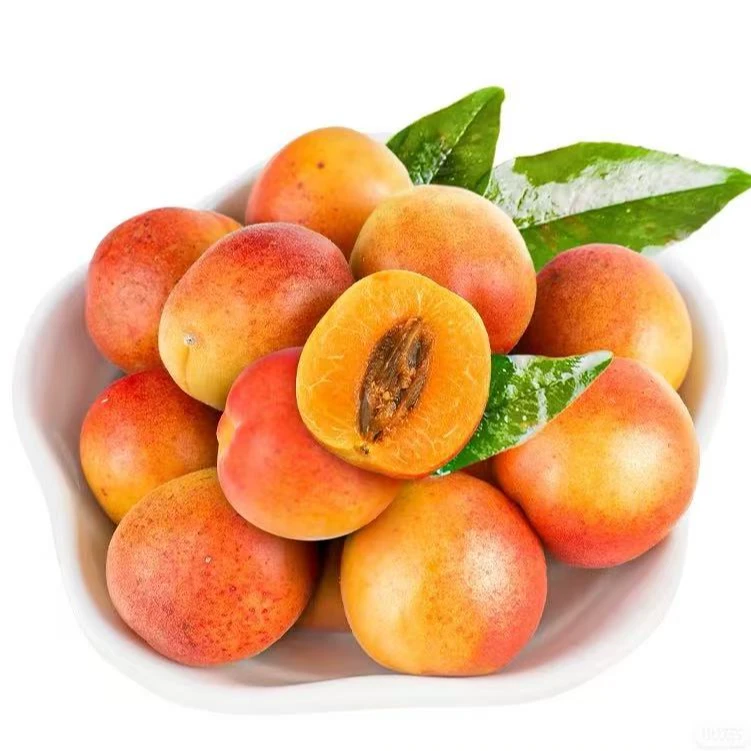 《果立方》新疆空运吊干杏 一杏两吃 新鲜水果顺丰包邮g新疆维吾尔自治区