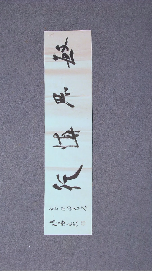 书法张蕾 盐城96*23尺寸（4）