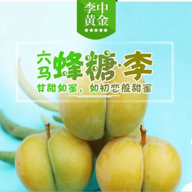 福利 款贵州六马蜂糖李正宗蜂糖李孕妇水果