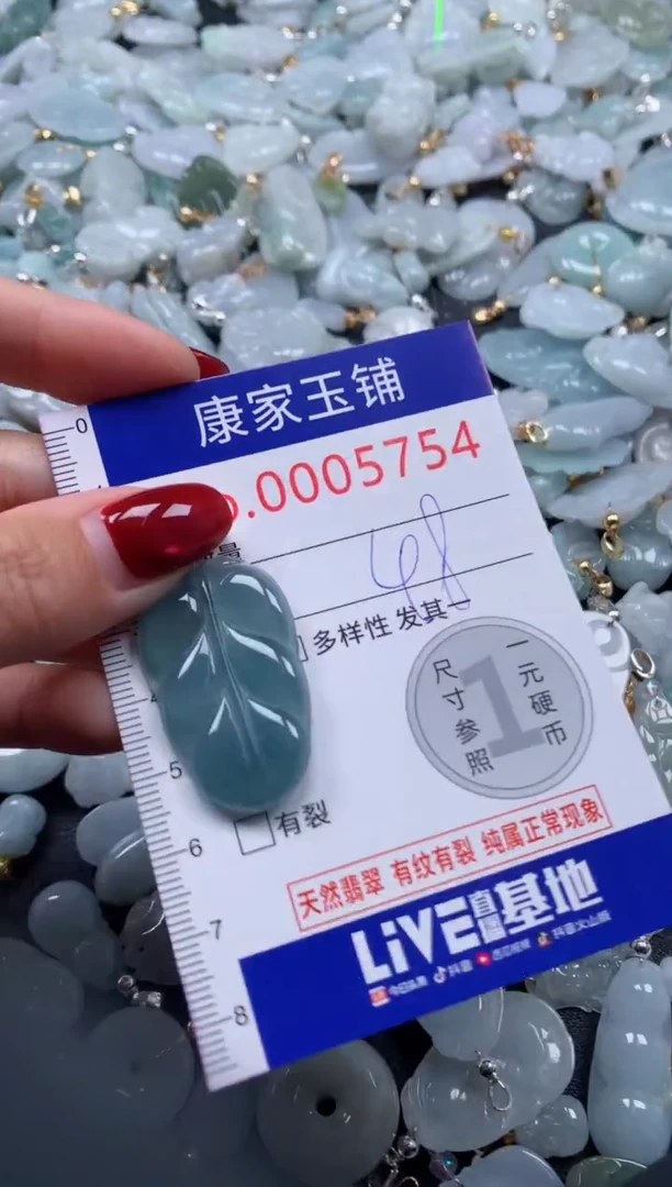 颈饰未镶嵌翡翠5754