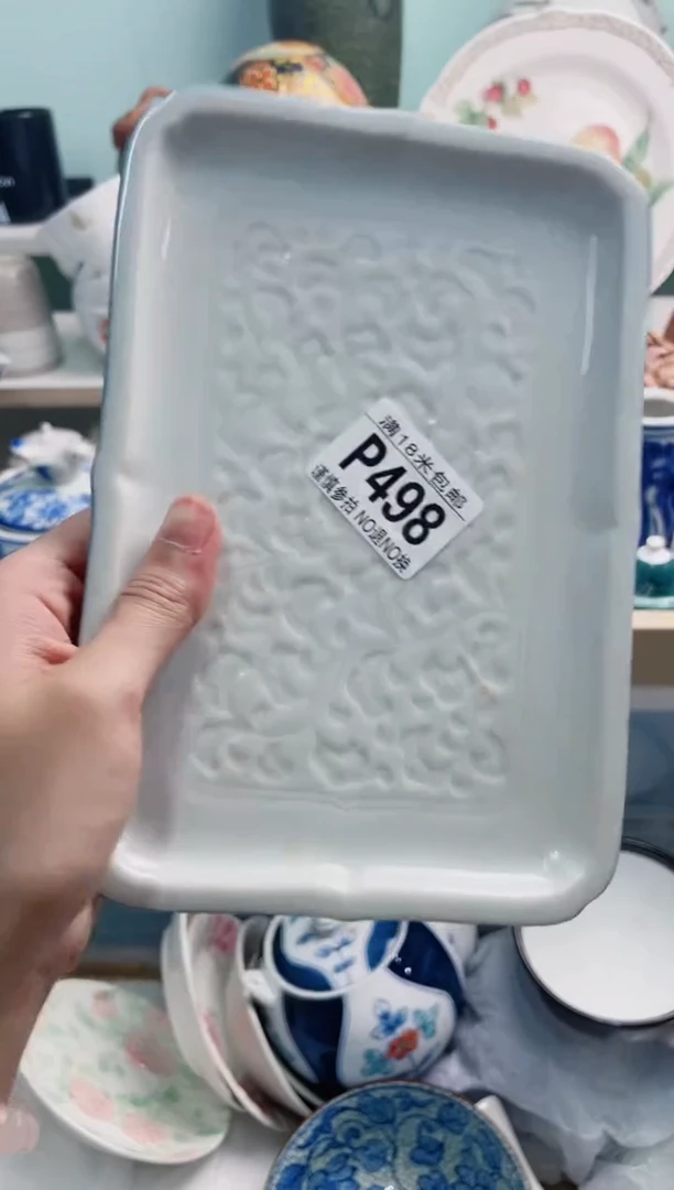 陶瓷用****8P498****