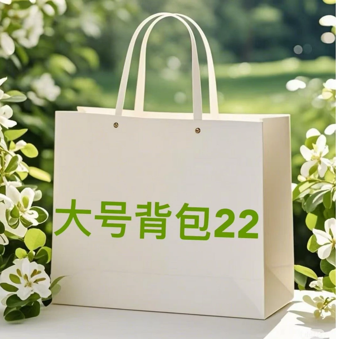 22单肩双肩背包经典时尚女士包包