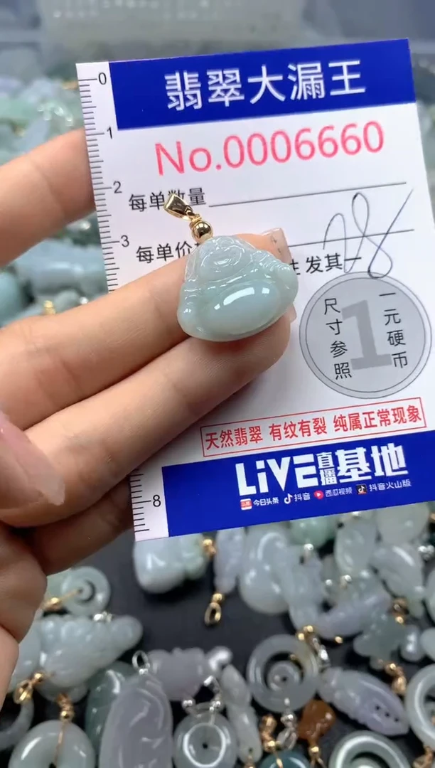 颈饰未镶嵌翡翠6660
