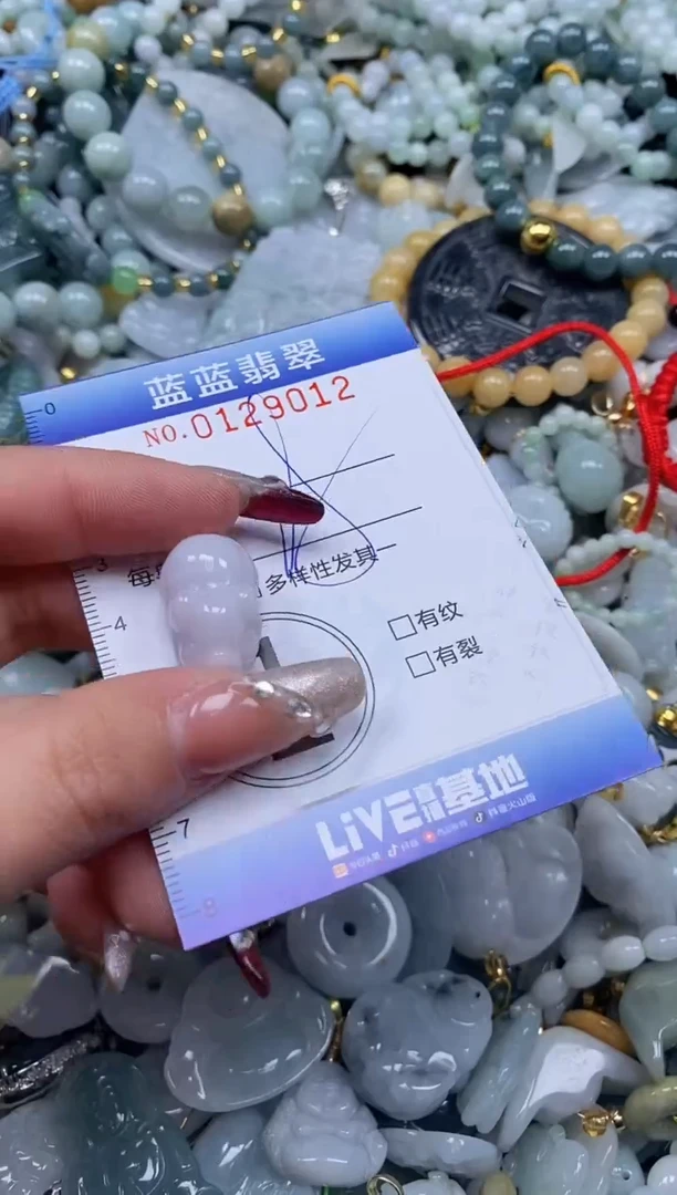 【闪购商品】翡翠颈饰未镶嵌闪购0129012