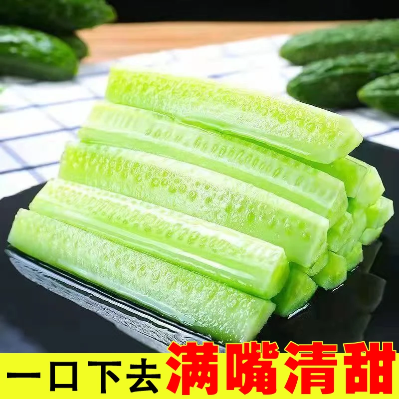 脆嫩多汁现摘现发农家直供优质黄瓜健康美味新鲜黄瓜应季蔬菜黄瓜