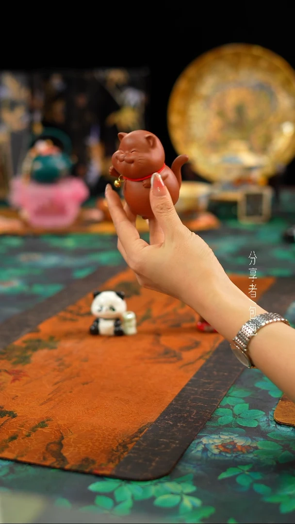 招收猫··············