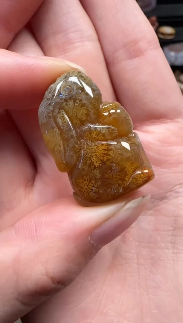 颈饰未镶嵌硅化珊瑚（珊瑚玉）222