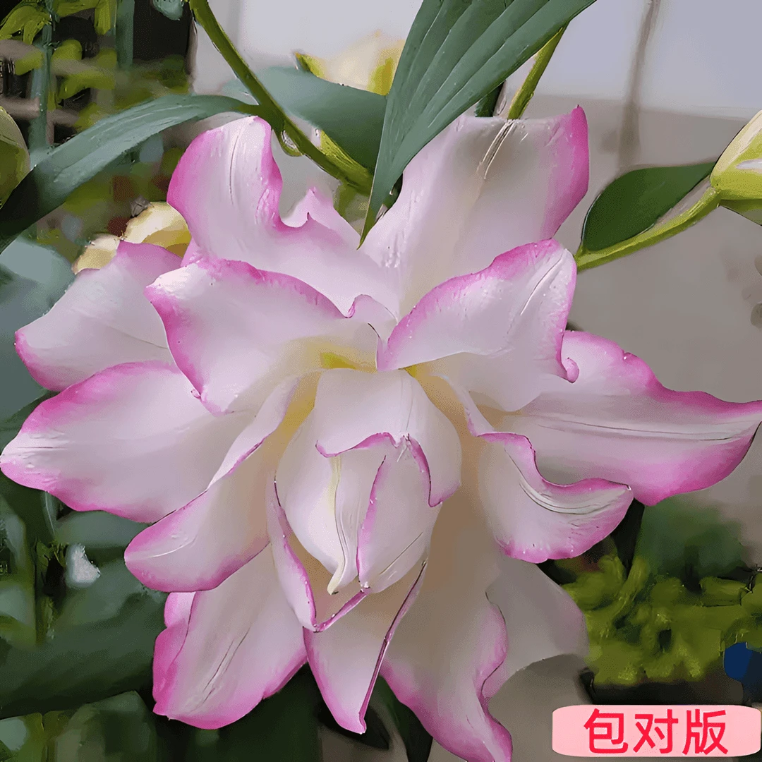 进口香水百合种球浓香型重瓣花卉室内外四季种植开花植物盆栽花卉