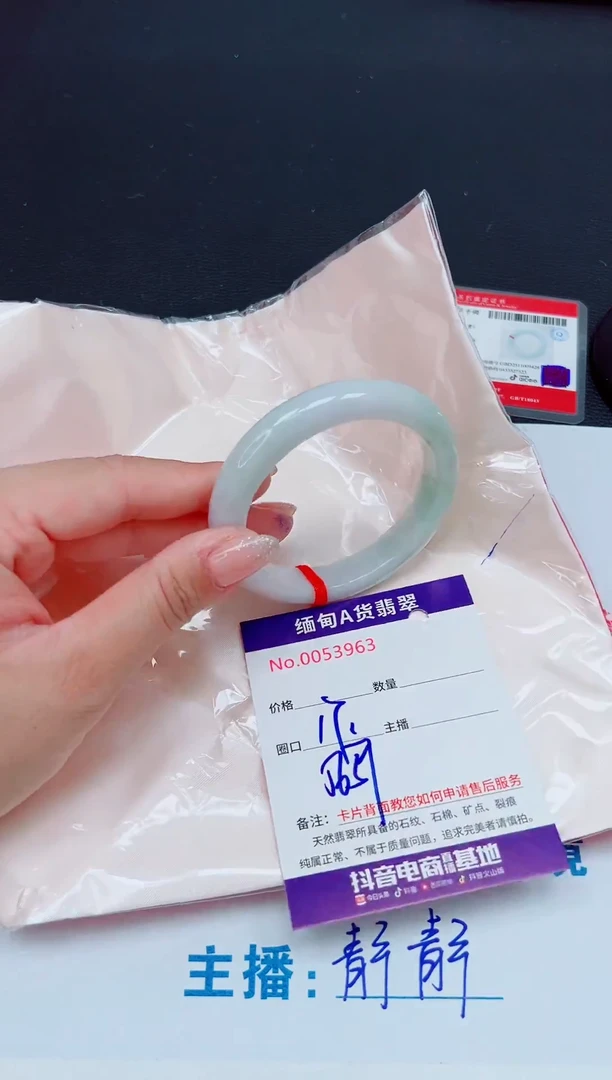未镶嵌手镯翡翠11111