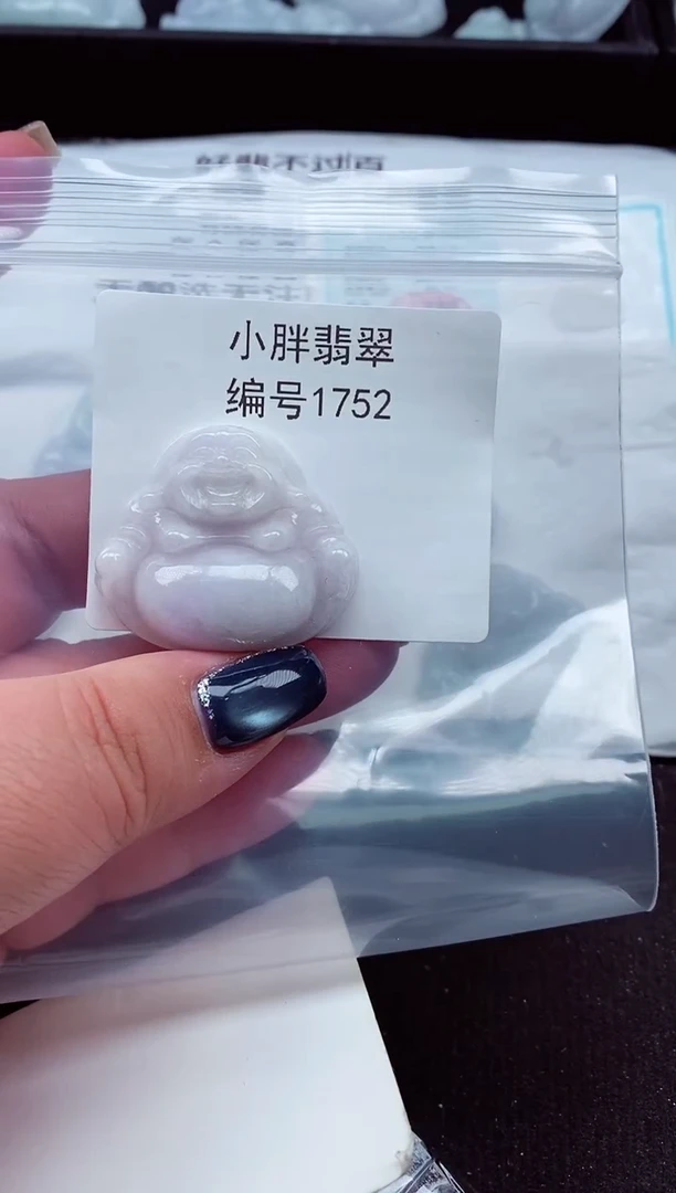 颈饰未镶嵌翡翠缅甸天然A货翡翠1752