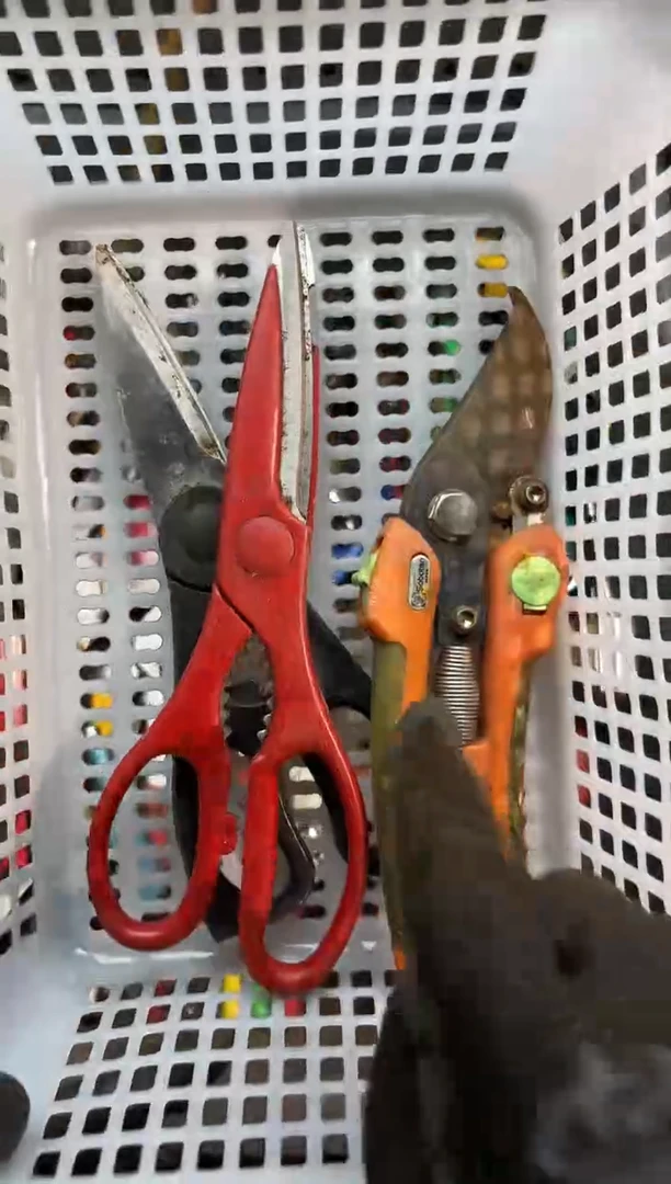 镁旧*阿古工具工具工具