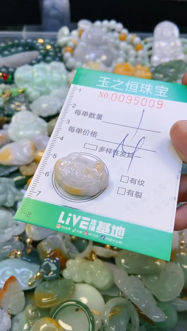 翡翠未镶嵌颈饰闪购0095009